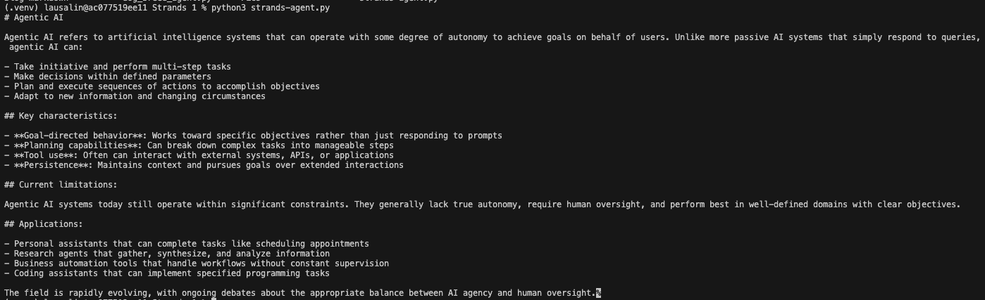 AWS Strands Agents SDK in action