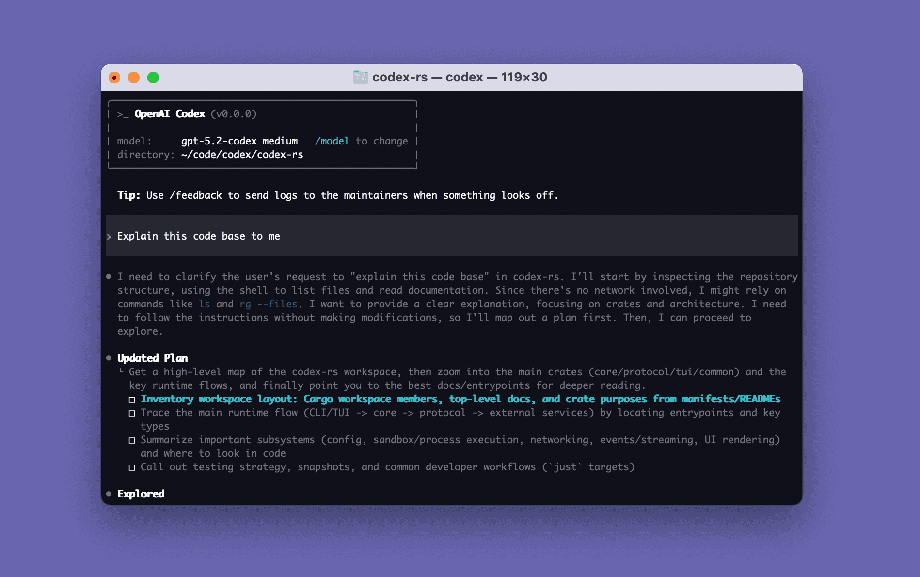 Codex CLI in action